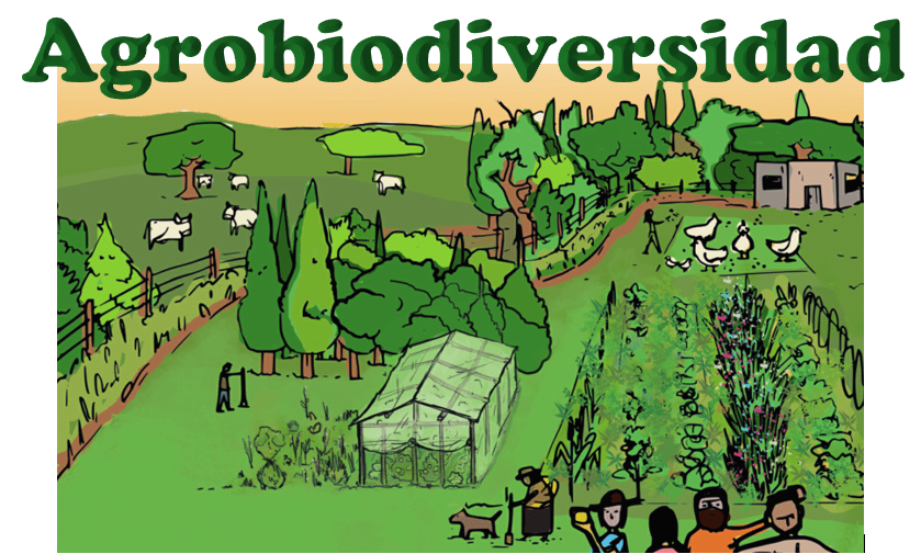 La riqueza de la agrobiodiversidad